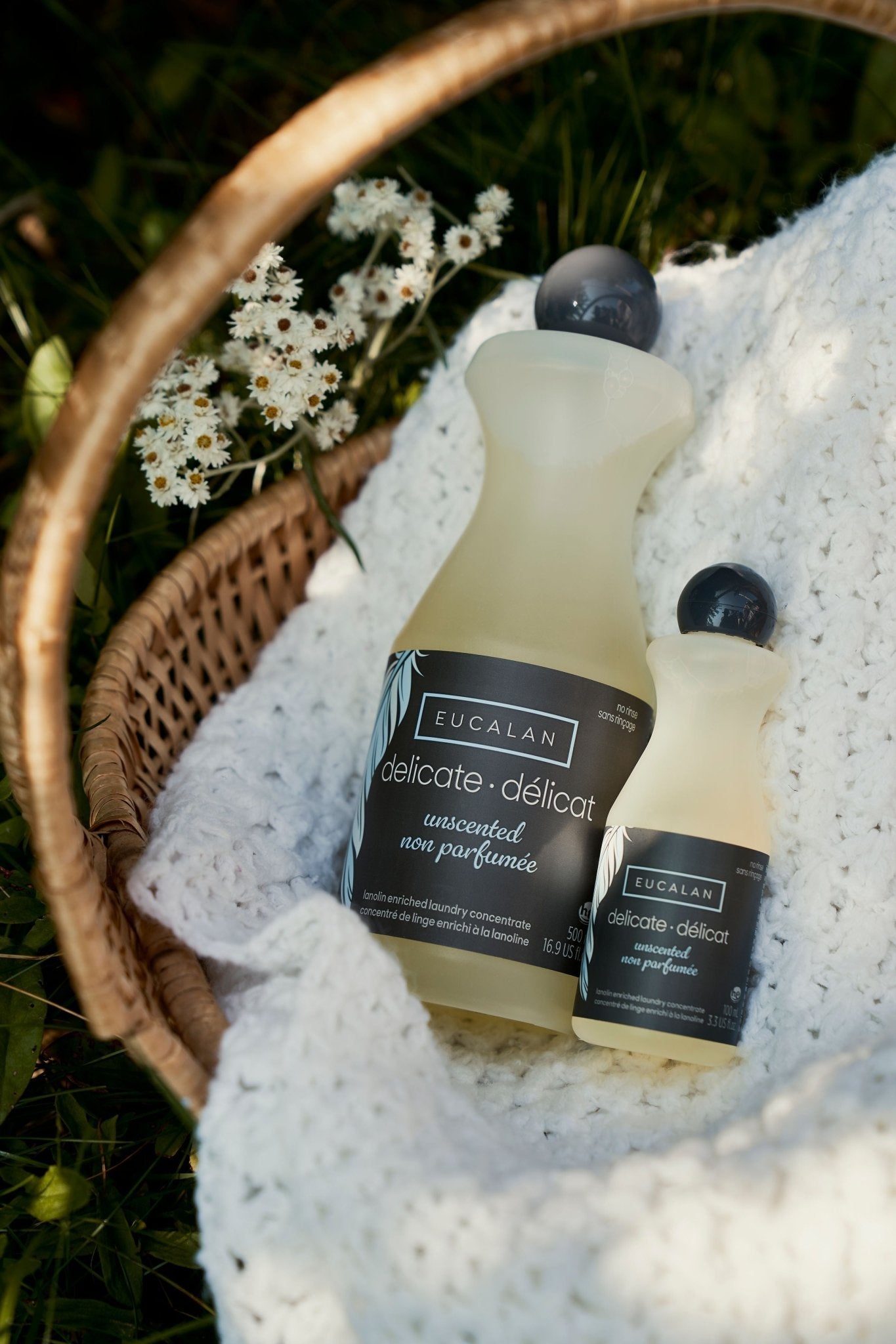 Détergent naturel pour la laine enrichi de lanoline